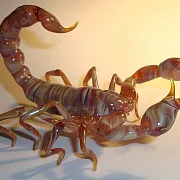 Подарочная скульптура «Скорпионы» из стекла — фотография 1
