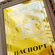 Обложка на паспорт из кожи «Герб Свердловской области» — красивый подарок — фотография 3